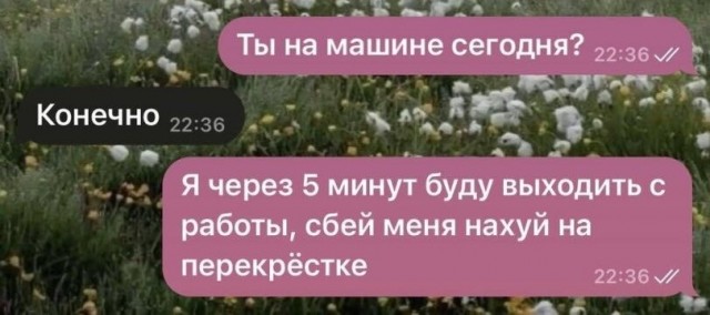 Чёрно-пошлая деградация