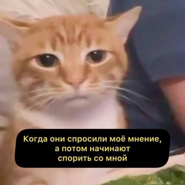 Какого хера
