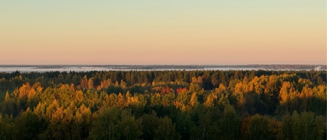 Все краски осени