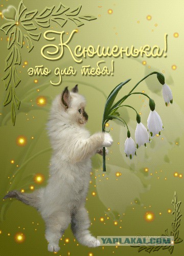 Срочно кровь для новорожденной! 1(-) Москва