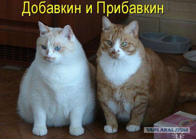 Не про олимпиаду