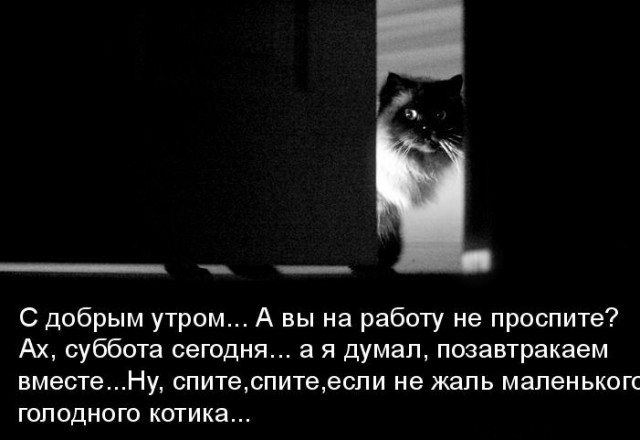 Не про олимпиаду