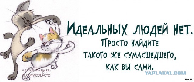 Почему женщины выносят мозг?
