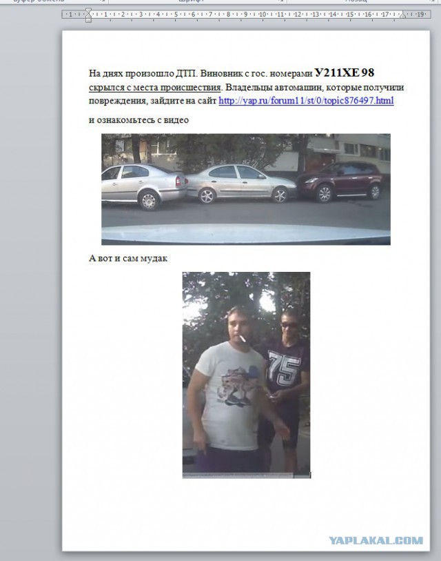 Дворовой понтовщик