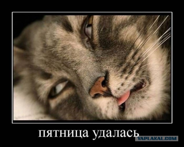 Весёлое из сети