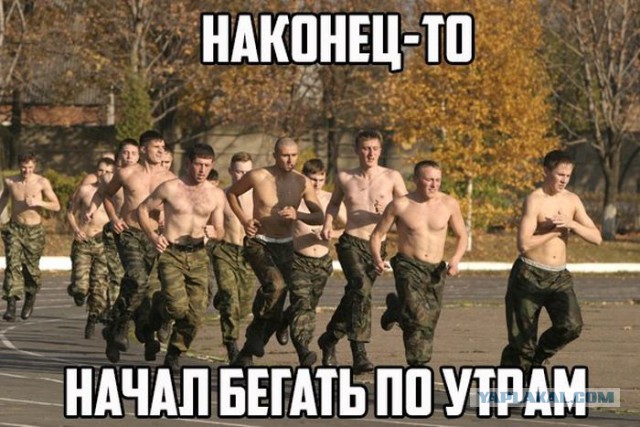 Пост смешных картинок