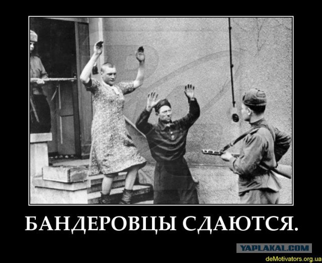 Помутнение разума по 404