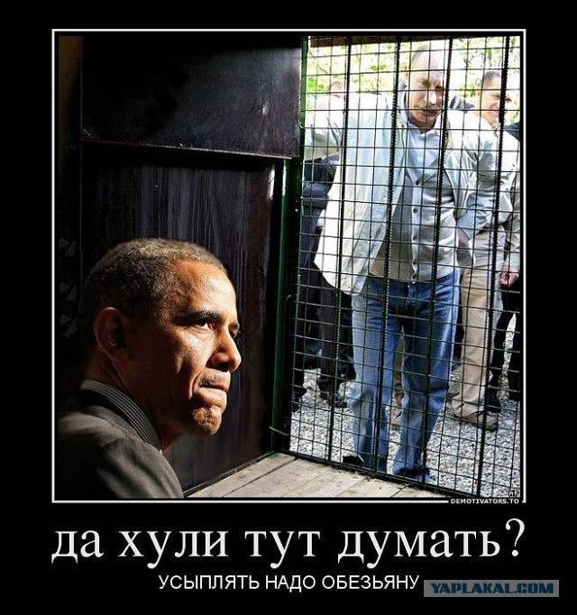 Очередные картинки