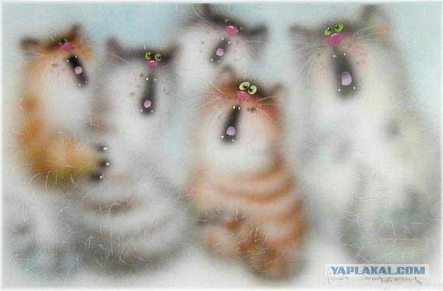 Короткий