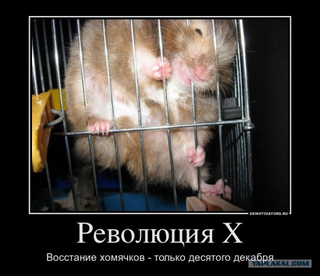 Митинг 10 декабря