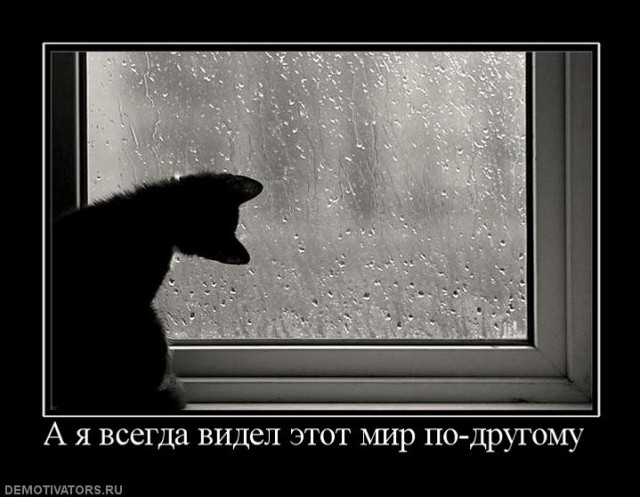 Вы хотите "демов"?