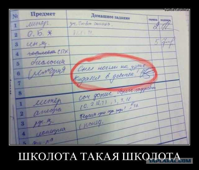 Картинки из инета