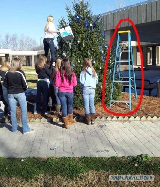 Собрание ТП