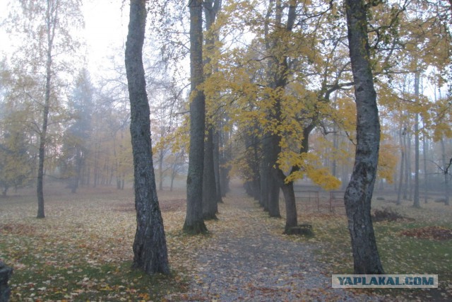 Я купил зеркалку. Ожидания VS реальность