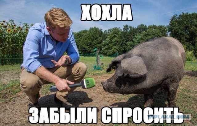 Через 2 недели опять вырубим Крыму свет