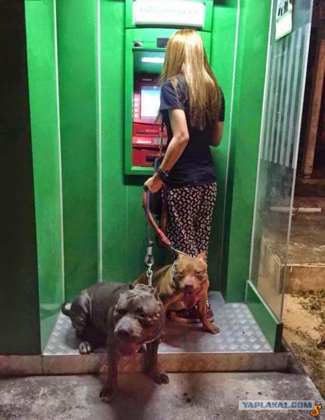 Однажды у банкомата...