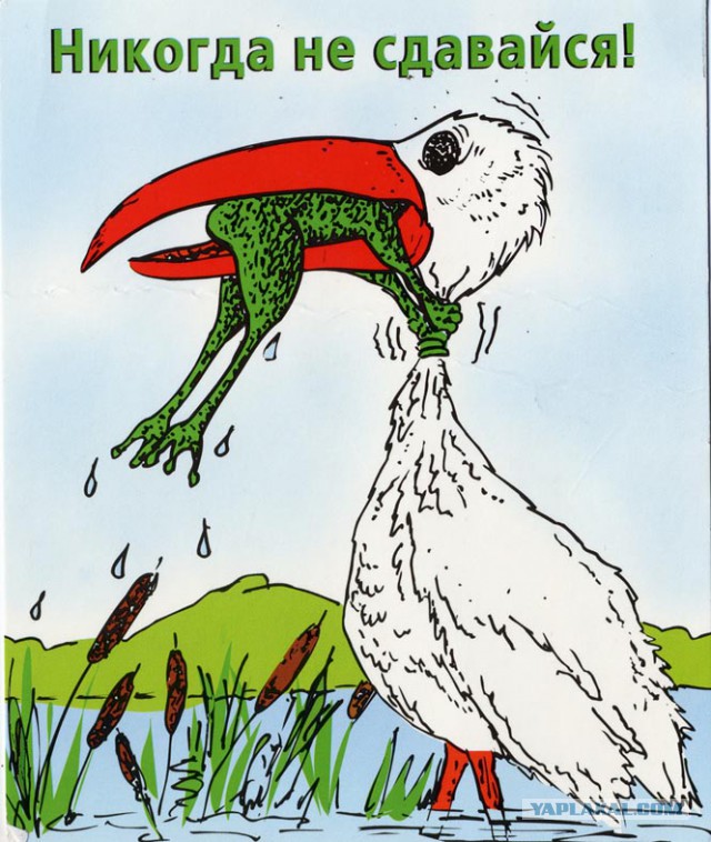 Никогда не теряй энергии