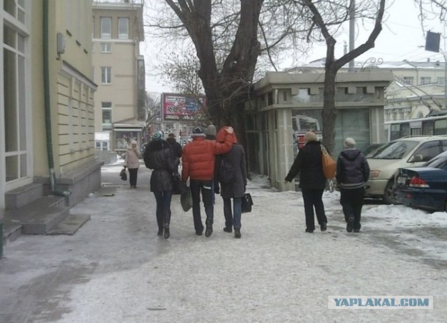 Порция картинок из сети