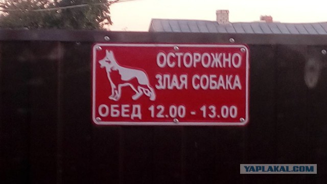 Осторожно! Злая собака!