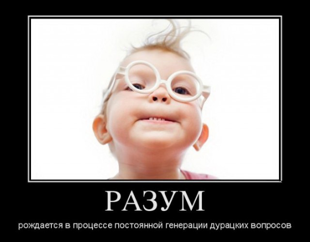 Картинки в черной рамке
