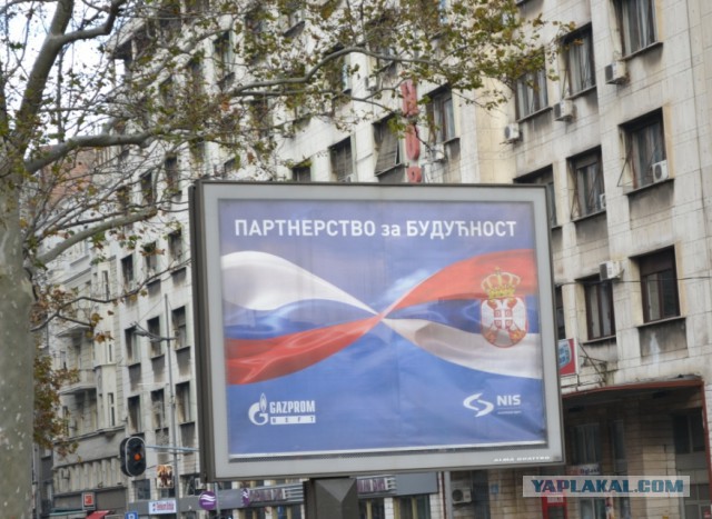 С братьев денег не берём!