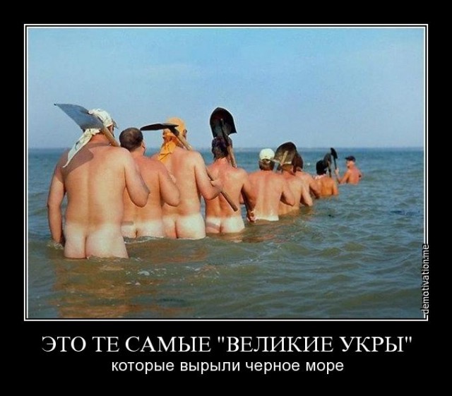 Обитатели Черного моря, представляющие опасность для человека