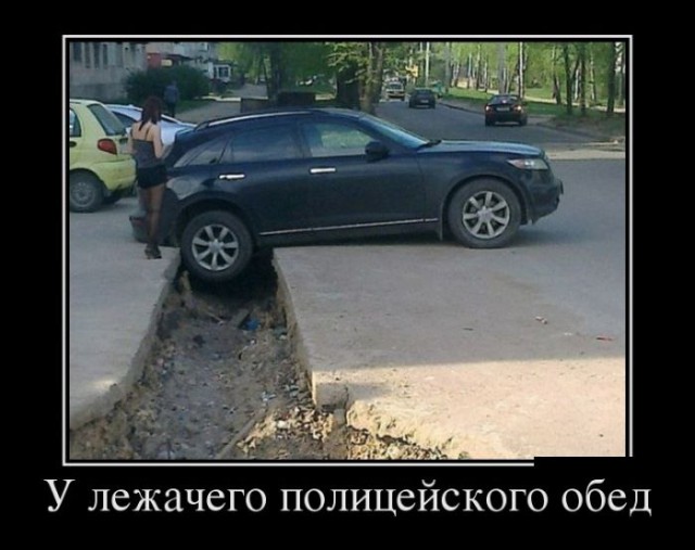 Подборка безудержного веселья
