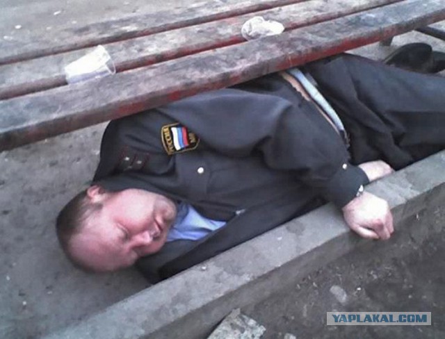 Москалькова призвала проиндексировать зарплату силовиков