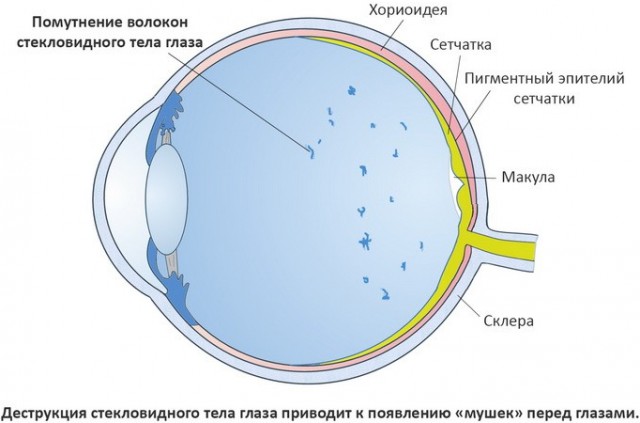 Специфический юмор
