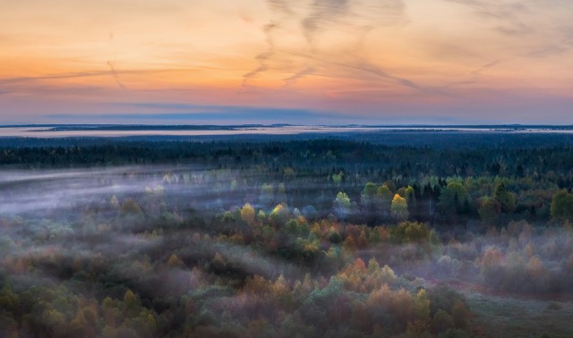 Вечером в тайге