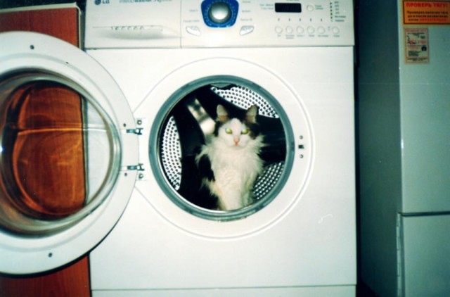 Котейкин вторник! Космический 12.04!