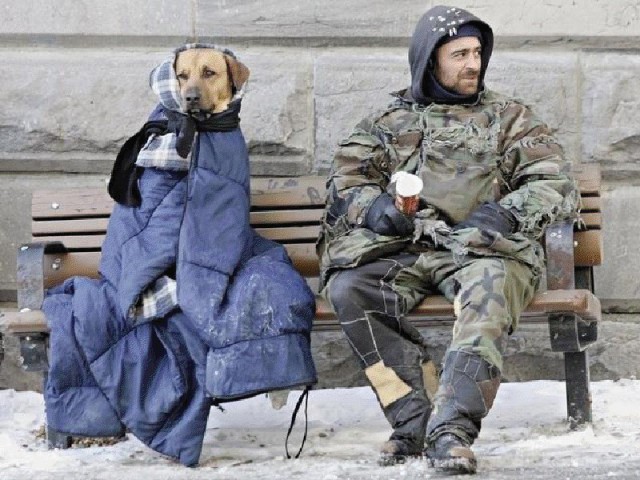 Не самый лучший день