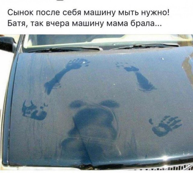 Лента прикольных картинок