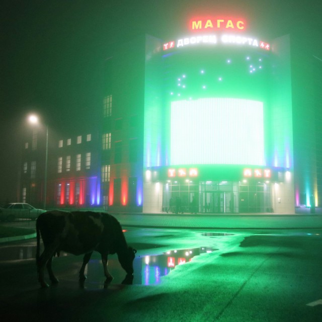 Живность из сети