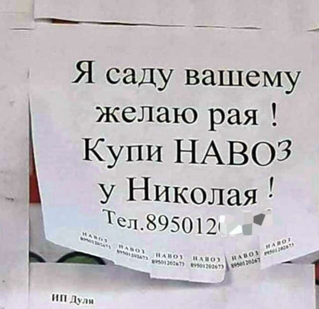 Картинки с надписями,истории и анекдоты