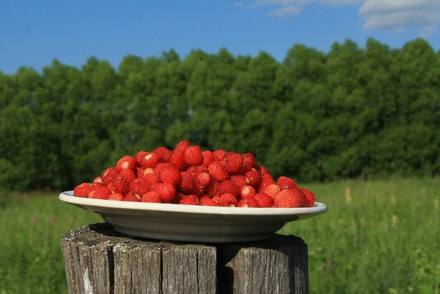 Хорошо в деревне летом