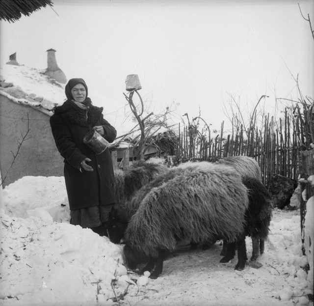 Архив сельского фотографа Захарии Кушнира