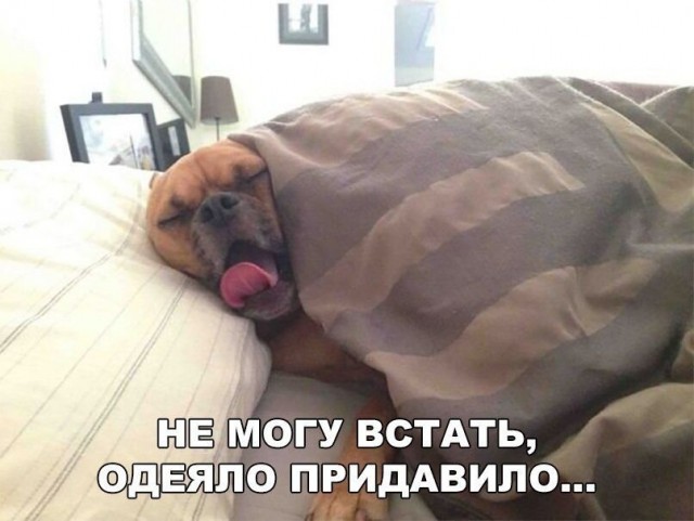 Так себе картинки 22.05.20