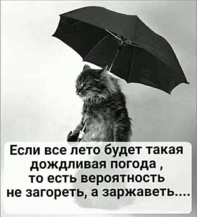 Немного картинок для настроения 29.05.20