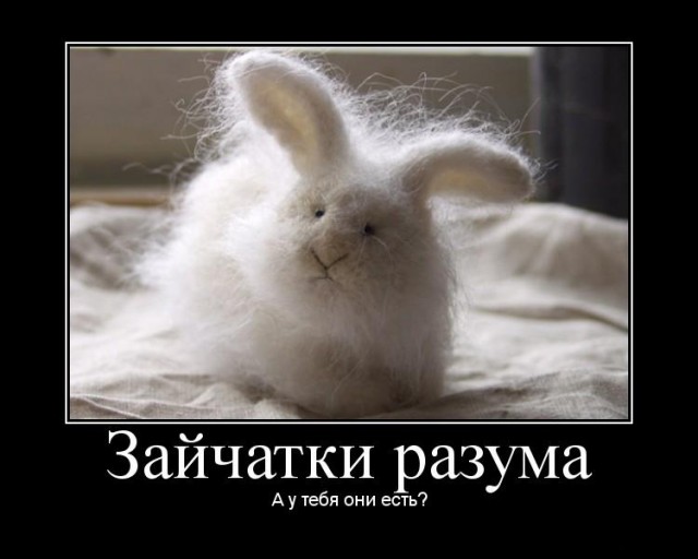 Понедельник. Разума нет