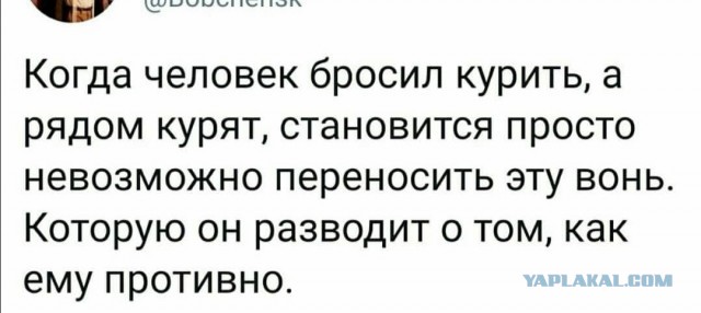 Немного картинок для настроения 31.10.20