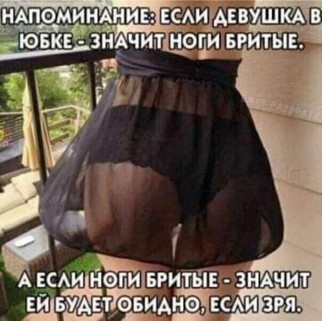 Бредзона (без кудябликов)