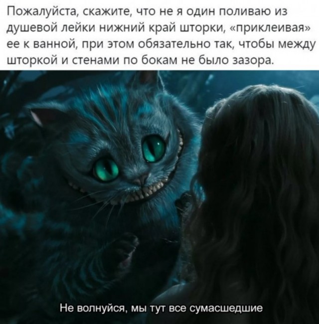 Весёлый полтишок 5.03