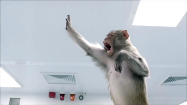 Мразь из Чебоксар... сбила женщину на переходе