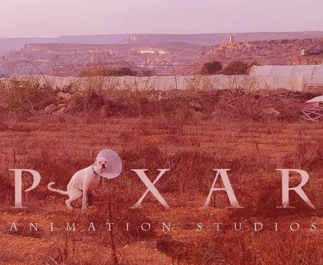 Так себе картинки 13.06.21