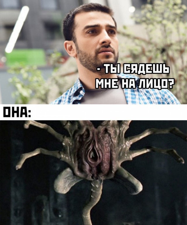 Весёлый полтишок 1.07