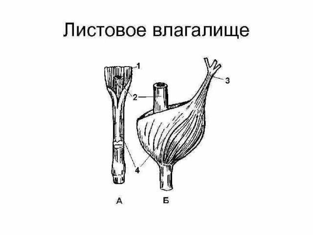 Женщина с дочкой