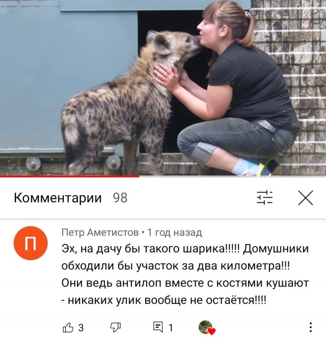 Картинки и мемы для настроения 15.07.2021