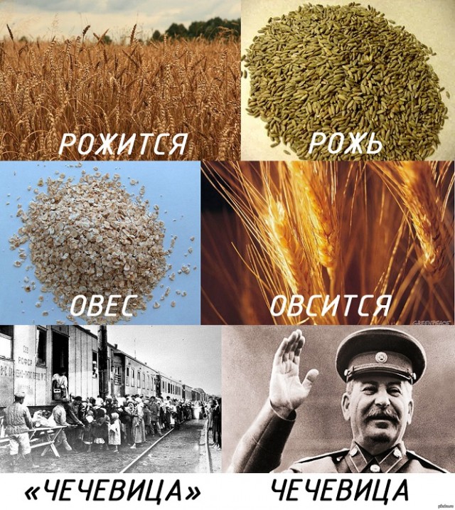 Такси. Кавказец. Пистолет.