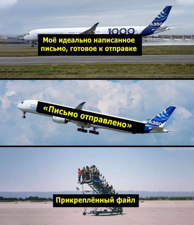 Весёлый полтишок 04.10